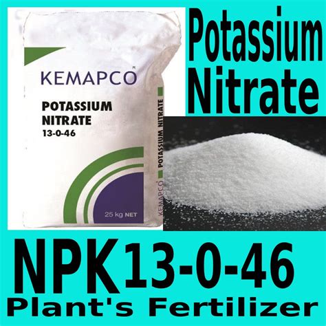 Fertilizer Potassium Nitrate NPK 13-0-46: The Essential Guide