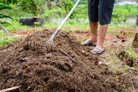 Fertilizer Preparation: