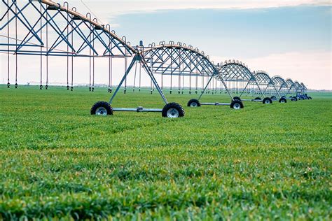 Fertilizer Prices Skyrocket: A Global Crisis in 6 Digits