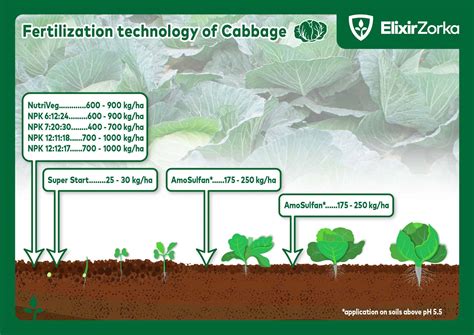 Fertilizer Requirements