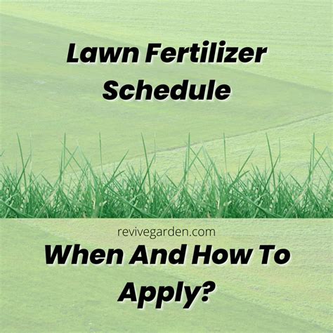 Fertilizer Schedule for Lawns: The Ultimate 10,000+ Word Guide