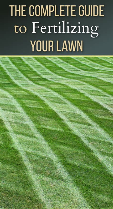 Fertilizer Schedule for Zoysia Grass: A 10-Step Guide to a Healthy, Lush Lawn