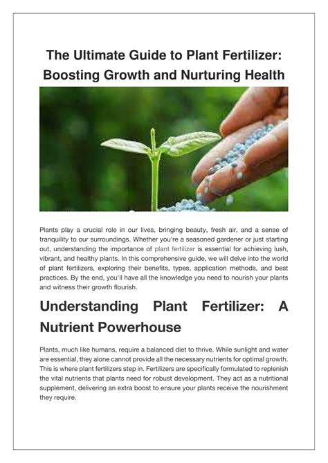 Fertilizer Seedlings: A Comprehensive Guide to Nurturing Healthy Growth