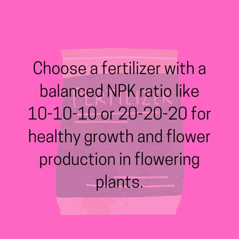 Fertilizer Selection: A Guide to Essential Nutrients