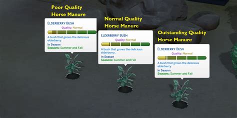 Fertilizer Sims 4: A Comprehensive Guide to Boosting Your Crops