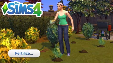 Fertilizer Sims 4: The Ultimate Guide to Greener Gardening