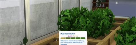 Fertilizer Sims 4: The Ultimate Guide to Plant Nutrition