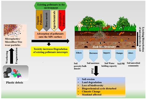 Fertilizer Spill: Impact on Ecosystems