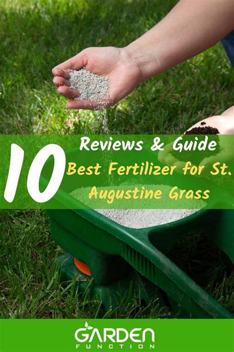 Fertilizer St. Augustine: The Comprehensive 10-Point Guide