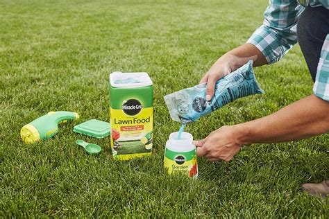 Fertilizer St. Augustine: The Ultimate Guide to Lush, Healthy Lawns