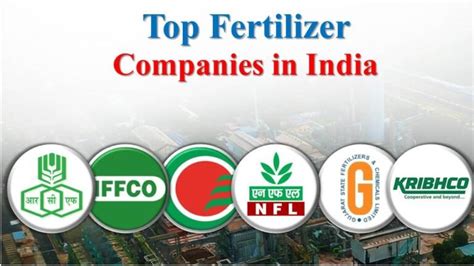 Fertilizer Suppliers: 16 Leading Companies Dominating the Industry