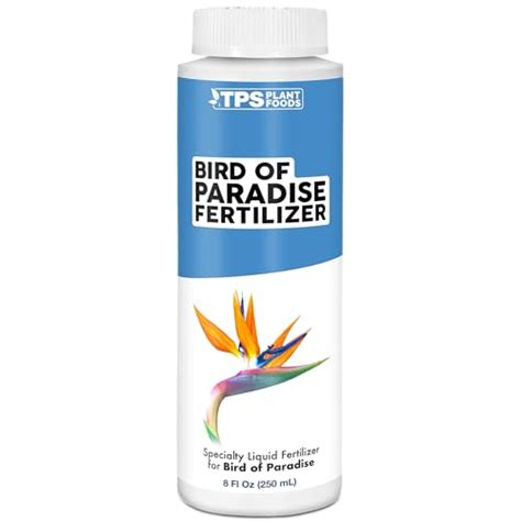 Fertilizer for Birds of Paradise: A Complete Guide to Nourishment