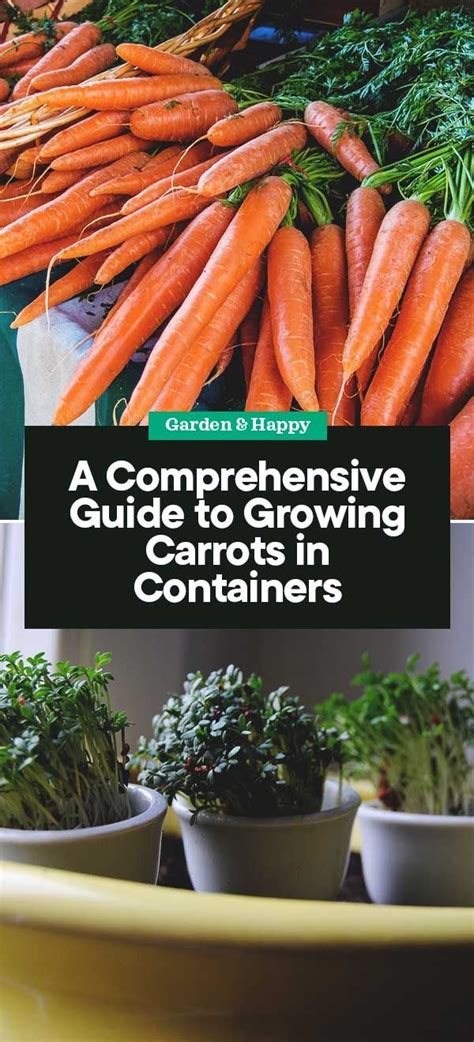 Fertilizer for Carrots: A Comprehensive Guide to Growing Succulent Vegetables