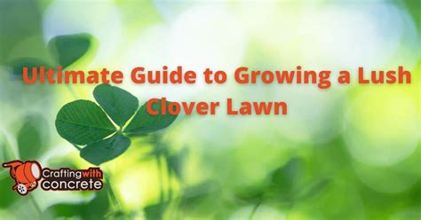 Fertilizer for Clover: The Ultimate Guide to Growing Green and Lush Clover Lawns