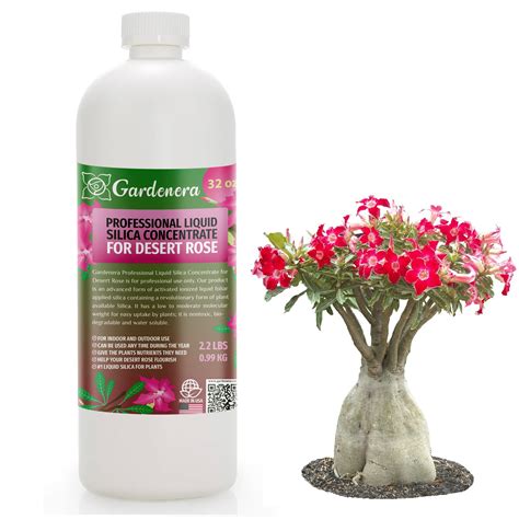 Fertilizer for Desert Rose: A Guide to Boosting Health and Bloom