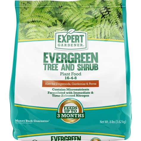 Fertilizer for Evergreen Trees: 10,000 Characters of Expert Tips