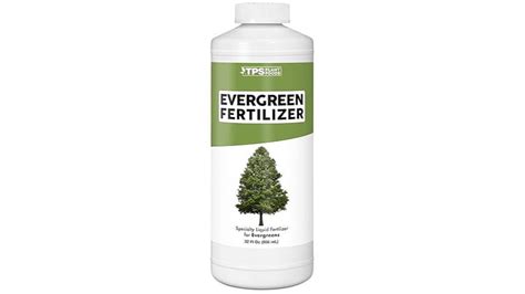 Fertilizer for Evergreen Trees: The Ultimate 10-Step Guide to Keeping Your Trees Healthy and Strong