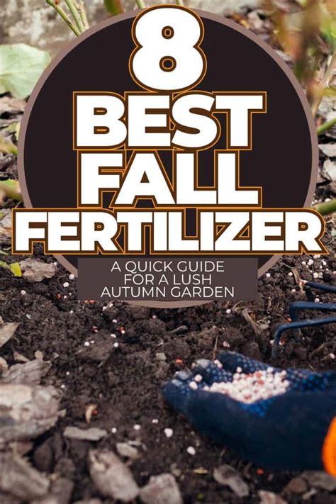 Fertilizer for Fall: 10 Essential Tips