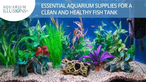 Fertilizer for Fish Tank: 9 Tips on How to Grow Thriving Plants and Healthy Fish