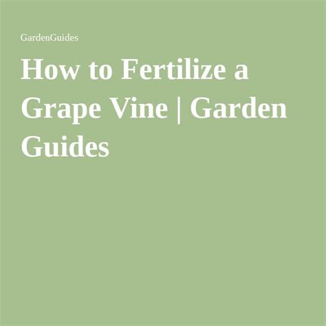 Fertilizer for Grapes: The Ultimate Guide to Nourishing Your Vines for Maximum Yield