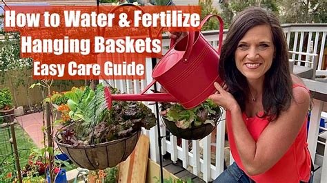 Fertilizer for Hanging Baskets: A Comprehensive Guide to Nourishing Your Aerial Gardens