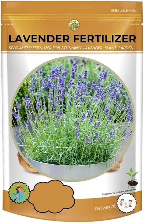 Fertilizer for Lavender: The Ultimate Guide to Nourishing Your Fragrant Herb