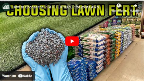 Fertilizer for Lawns in Spring: The Ultimate Guide to a Lush, Green Yard