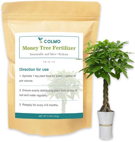 Fertilizer for Money Trees: A Comprehensive Guide