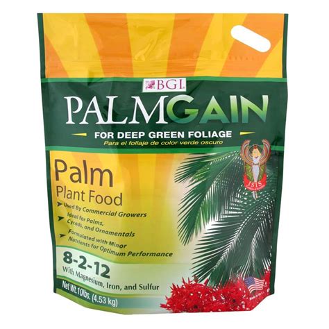 Fertilizer for Palm Trees in Home Depot: 9 Game-Changers