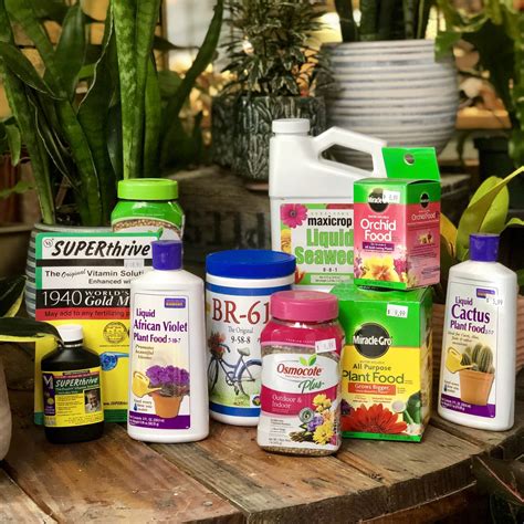 Fertilizer for Plants and Flowers: 5 Ways to Boost Abundance