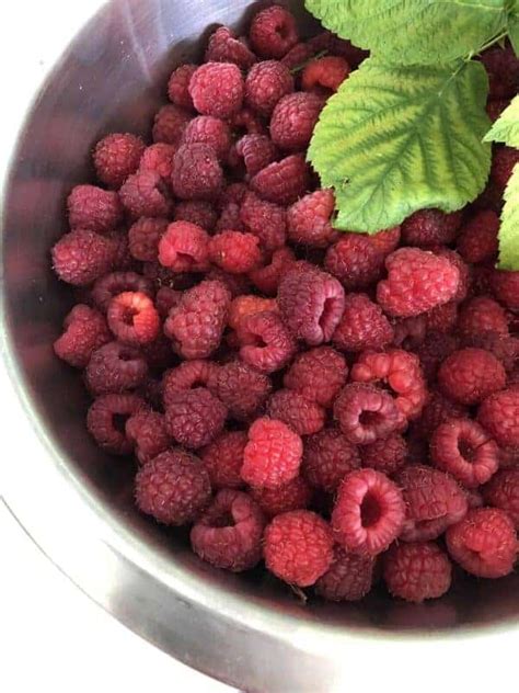 Fertilizer for Raspberry Plants: 21 Nutrient-Rich Options for Bountiful Yields