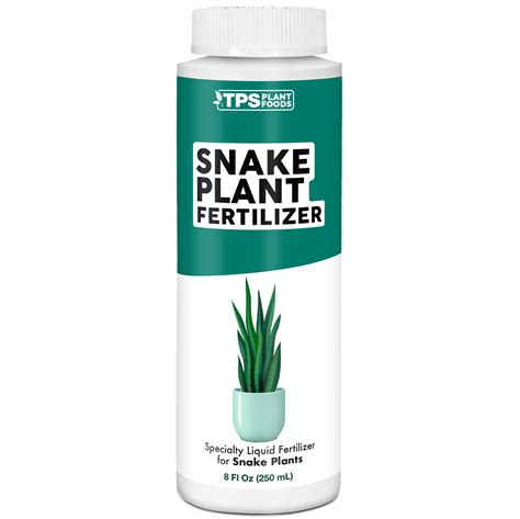 Fertilizer for Snake Plants: 101