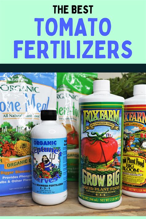 Fertilizer for Tomato Plants: 10 Essential Nutrients