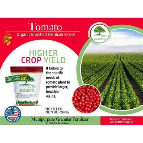 Fertilizer for Tomatoes Organic: 10,000+ Guide for Abundant Harvests