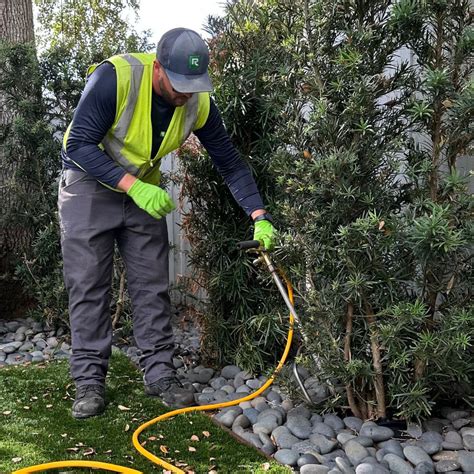 Fertilizer for Trees: Essential Guide to Nourishing Your Green Giants