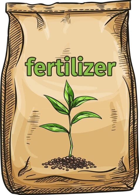 Fertilizer for Tropical Plants: 5 Myths and Truths