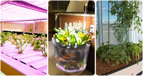 Fertilizer for Water: How 14 Strategies Can Transform Aquaponics