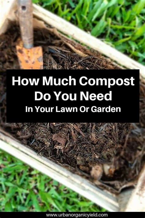 Fertilizer in Compost: 5 Unbelievable Ways to Transform Your Garden