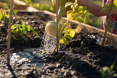 Fertilizer on Sale: Get Your Green Thumb Ready for the Growing Season