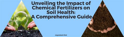 Fertilizer with Lime: A Comprehensive Guide to Soil Health