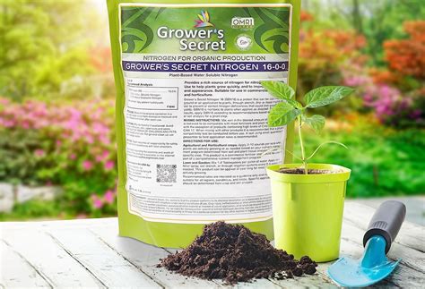 Fertilizer with Low Nitrogen: The Essential Guide