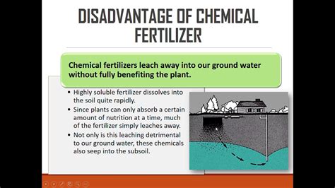 Fertilizer with Low Nitrogen: Understanding the Benefits and Limitations