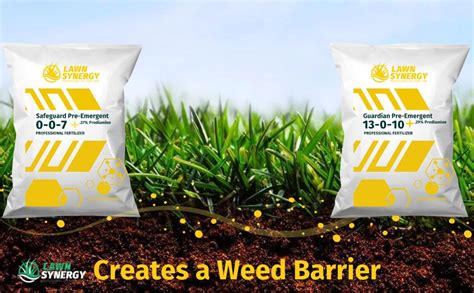 Fertilizer with Pre-Emergent: Your Proven Solution for Weed Control and Plant Growth