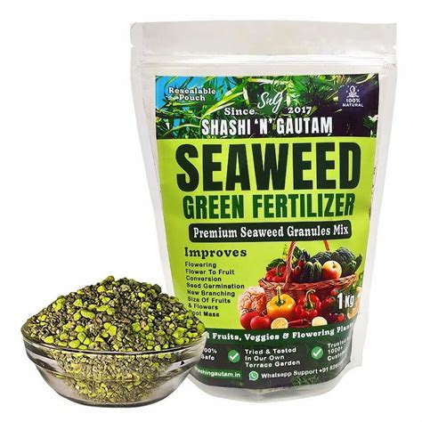 Fertilizer with Seaweed: A Green Revolution for Your Garden