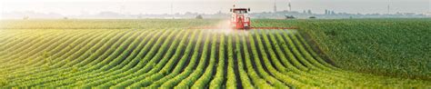 Fertilizers: A Cornerstone of Global Agriculture