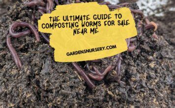 Fertilizers Near Me: Your Ultimate Guide to Finding the Right Ones for Your Plants