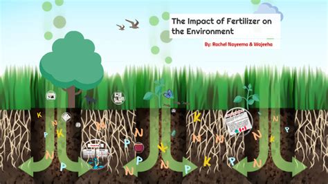 Fertilizers and Environment Epub
