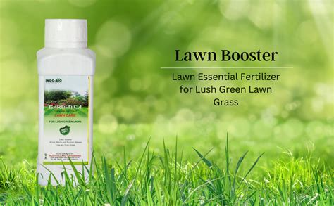 Fertilizers for Grass: Essential Nutrient Boosters