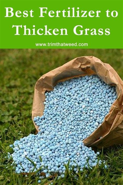 Fertilizers for Grass: The Ultimate Guide