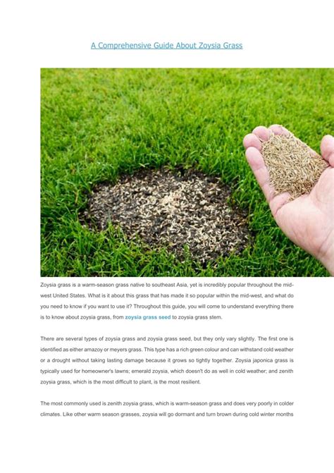 Fertilizers for Zoysia Grass: A Comprehensive Guide